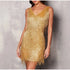 Elegant Sequined Mini Dress with Tassels and Feathers for Women - Spaghetti Strap Evening Party Attire